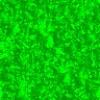 Textures 131